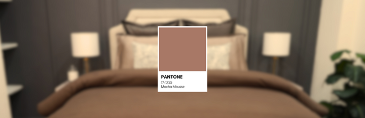 Color of the Year 2025: Mocha Mousse